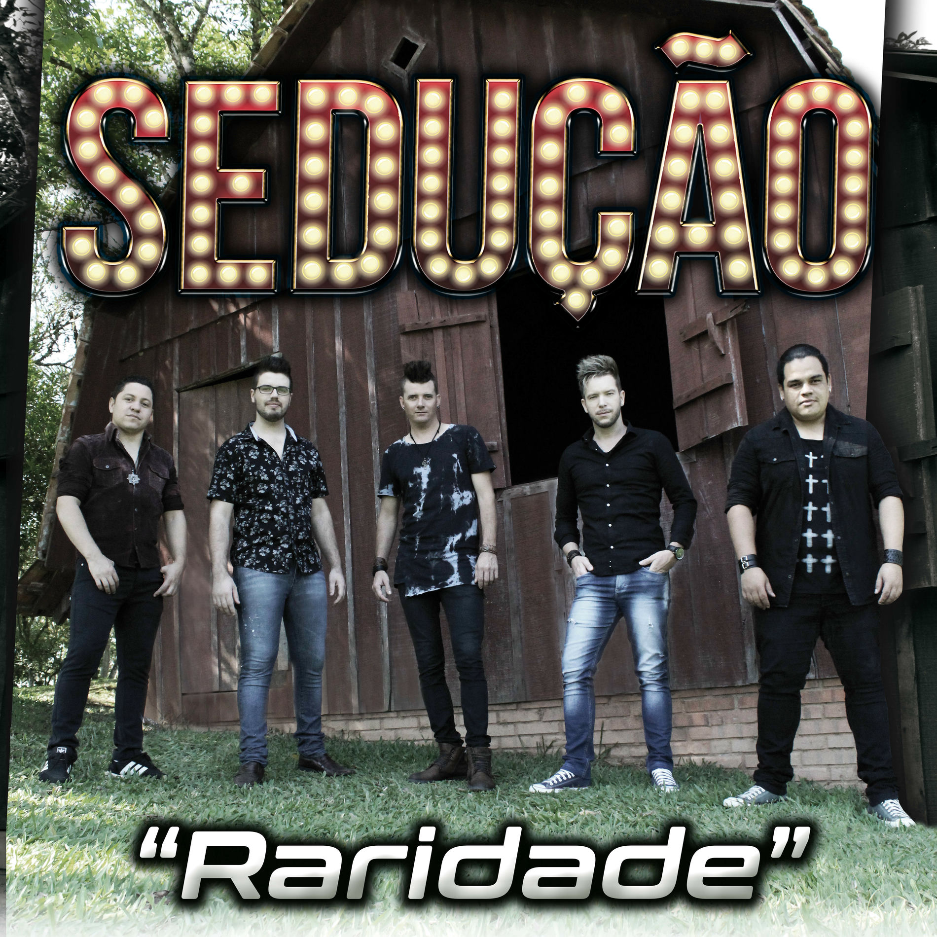 Album cover of Raridade