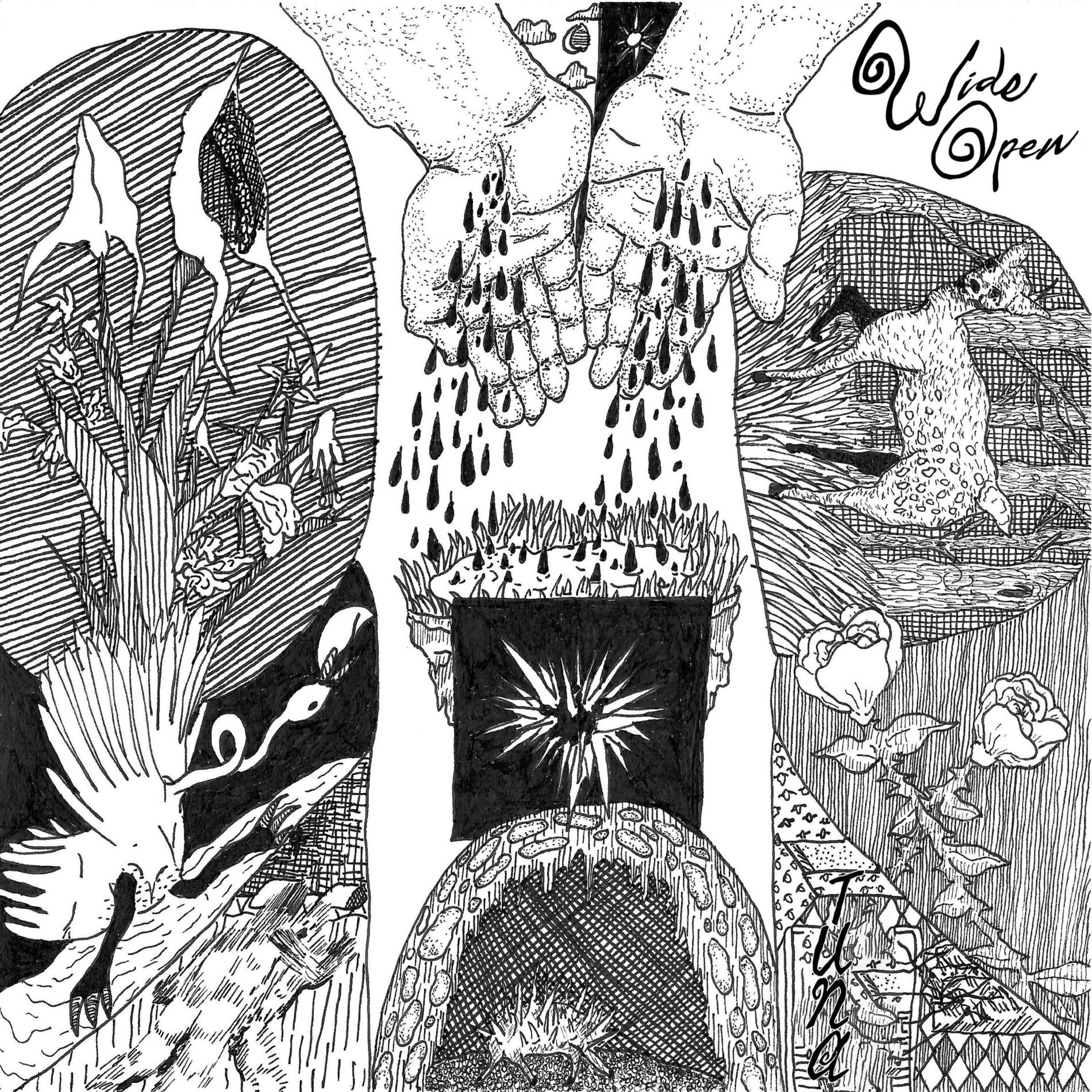 Album cover of Wide Open