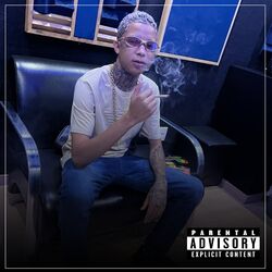 Cover of SO AS VERIFICADAS