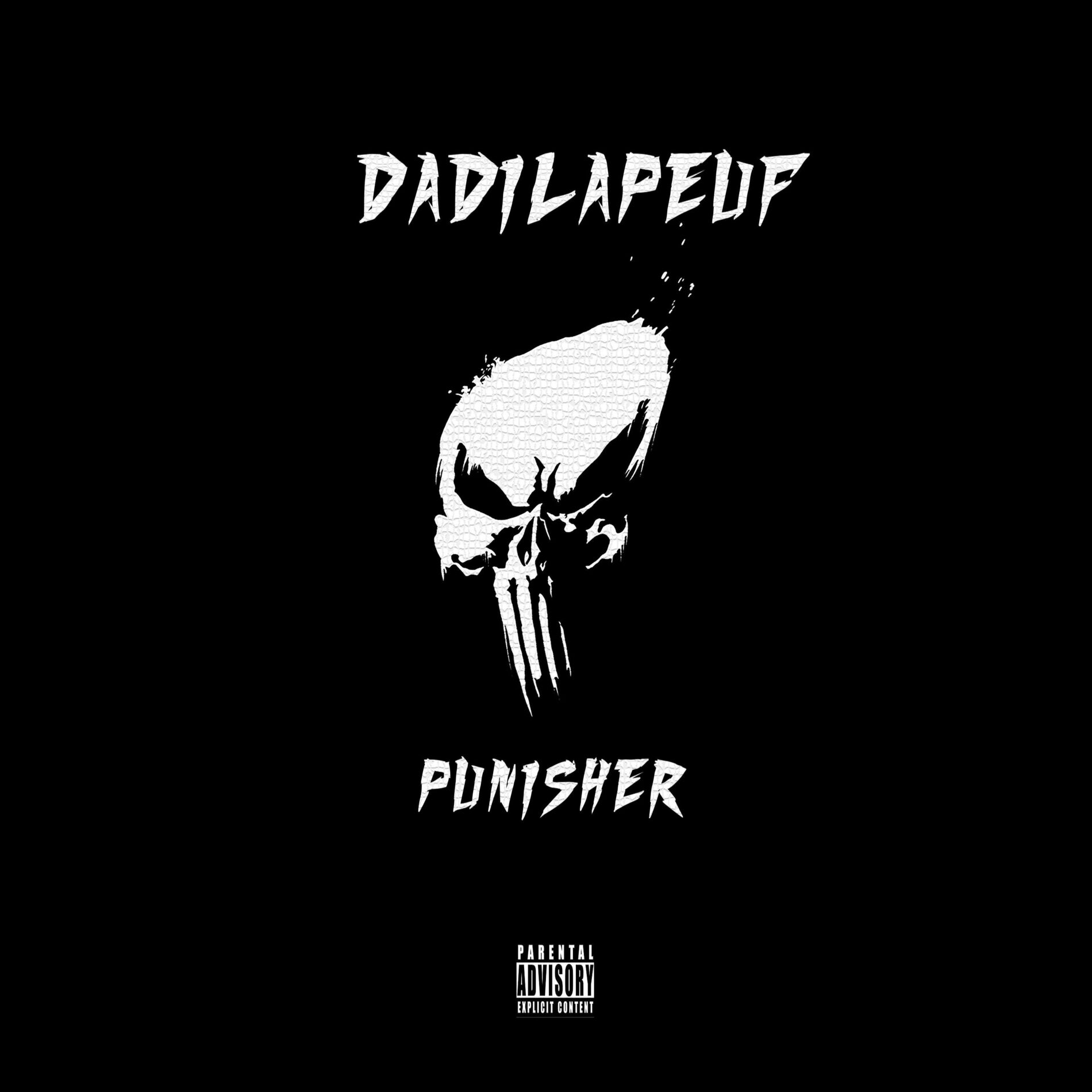 Album cover of Punisher
