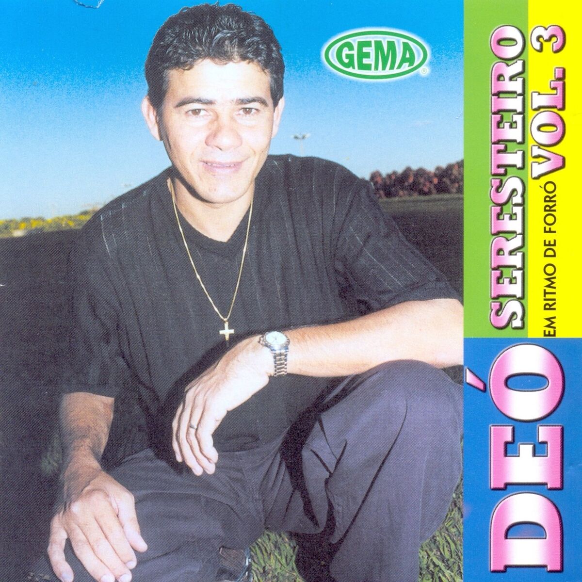Album cover of Em Ritmo de Forró, Vol. 3