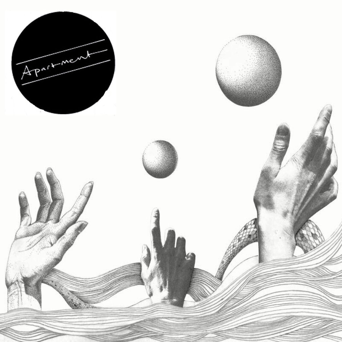 Album cover of Patience Is Proving