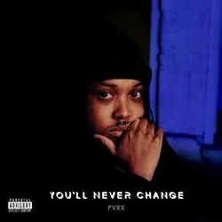 Cover of You'll Never Change