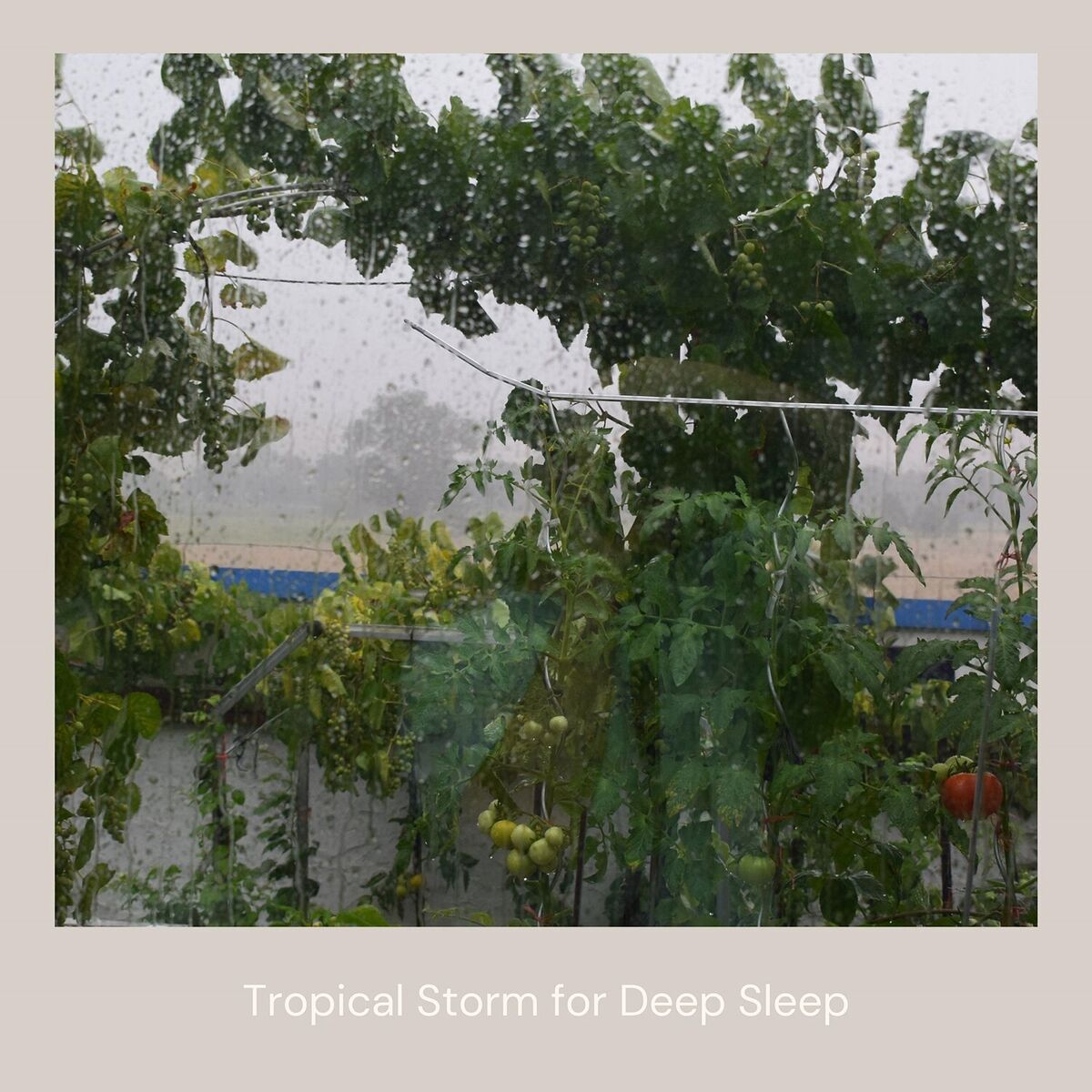 Album cover of Tropical Storm for Deep Sleep