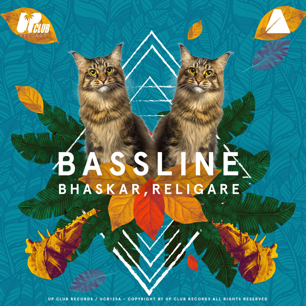 Picture of Bassline