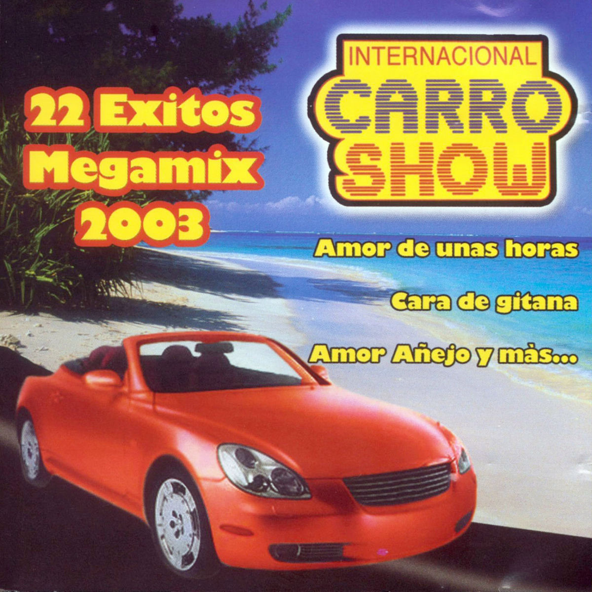 Album cover of 22 Exitos Megamix
