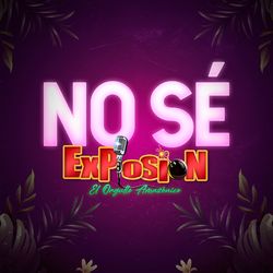 Cover of No Sé