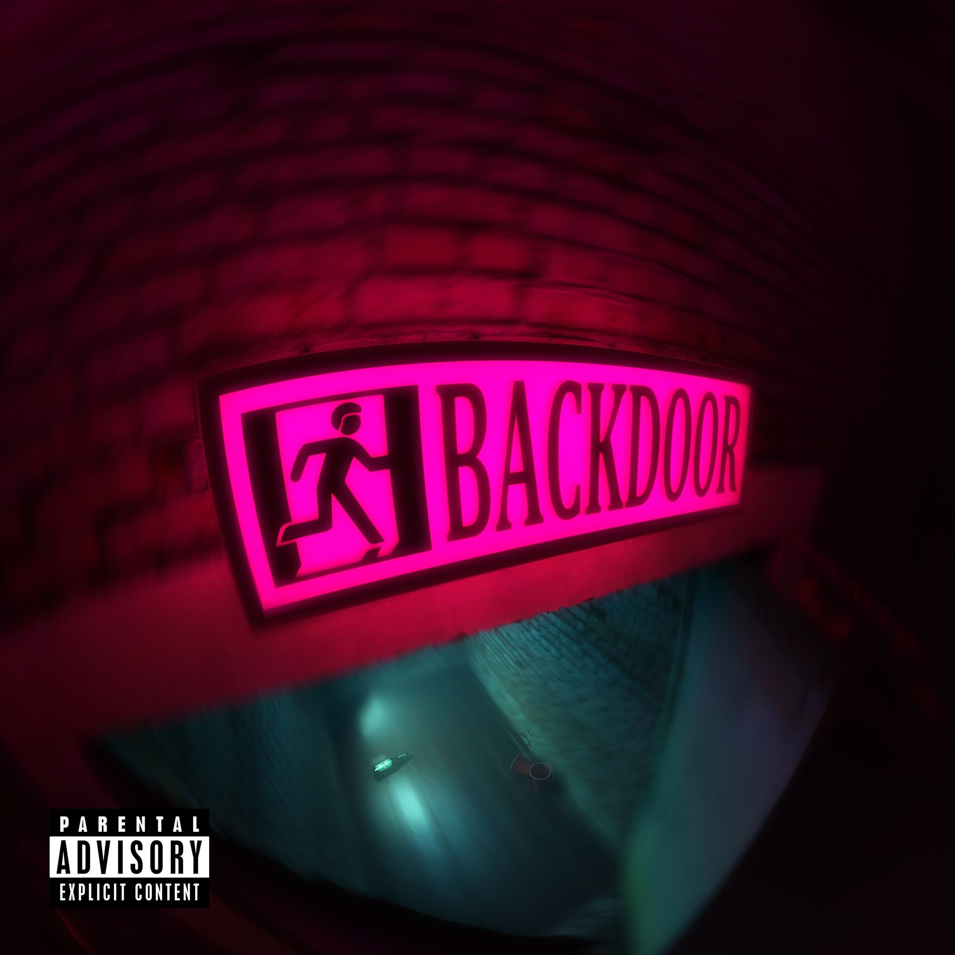 Album cover of Backdoor