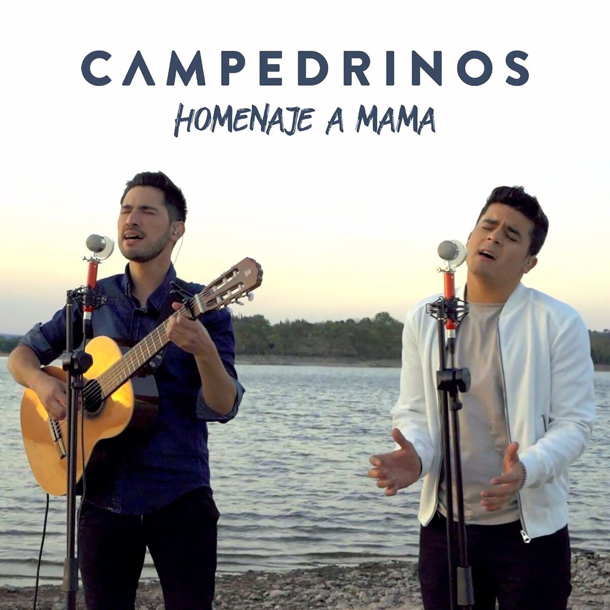 Album cover of Homenaje a Mamá: Cómo Pájaros en el Aire / Cuatro Letras para un Verso / Mamá Mamá
