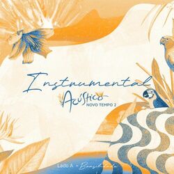 Cover of Acústico Novo Tempo 2 (Lado A: Brasilidade): Instrumental (Playback)