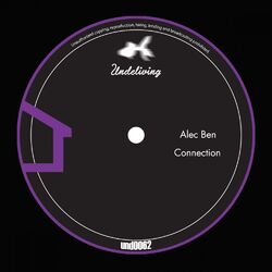 Cover of Connection