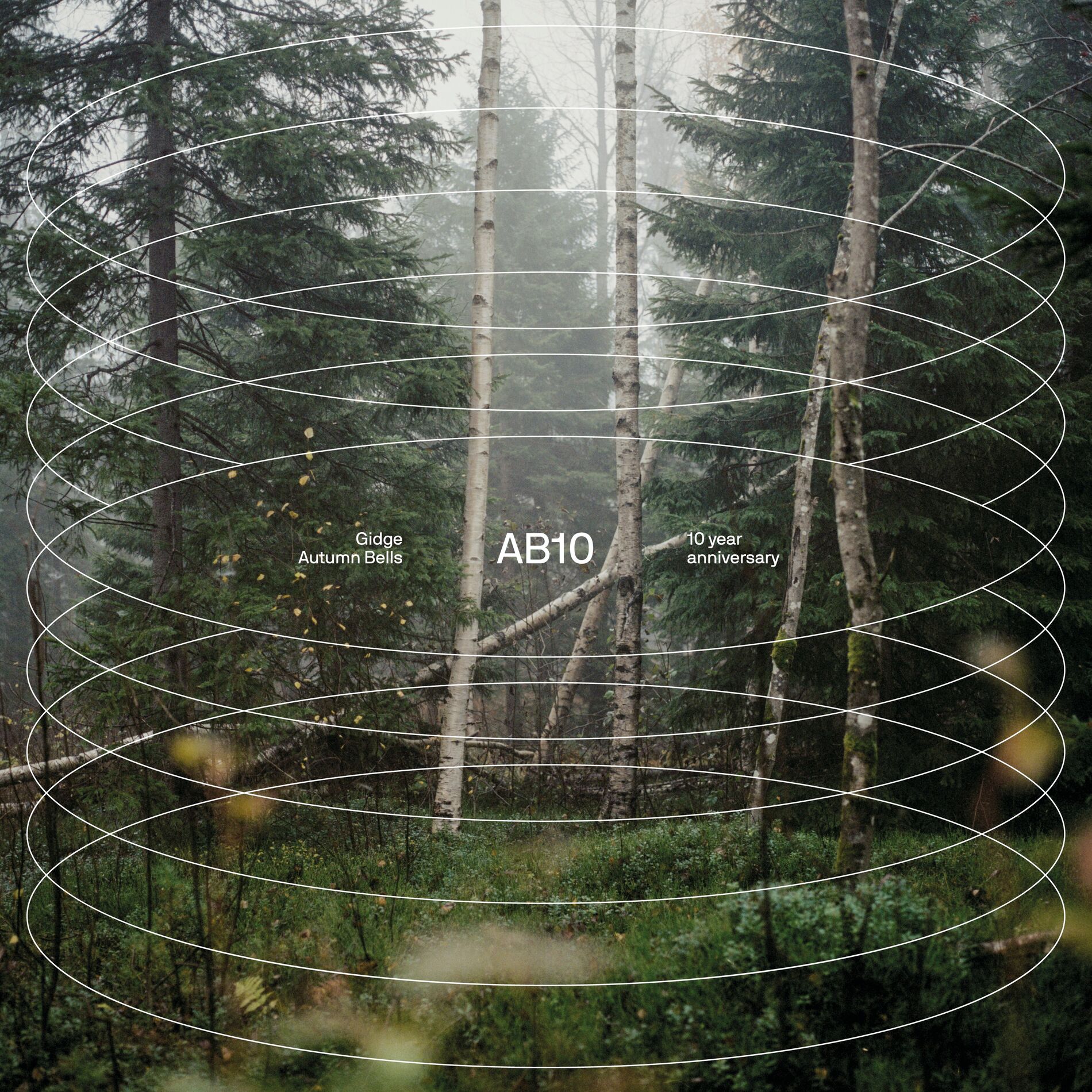 Album cover of AB10