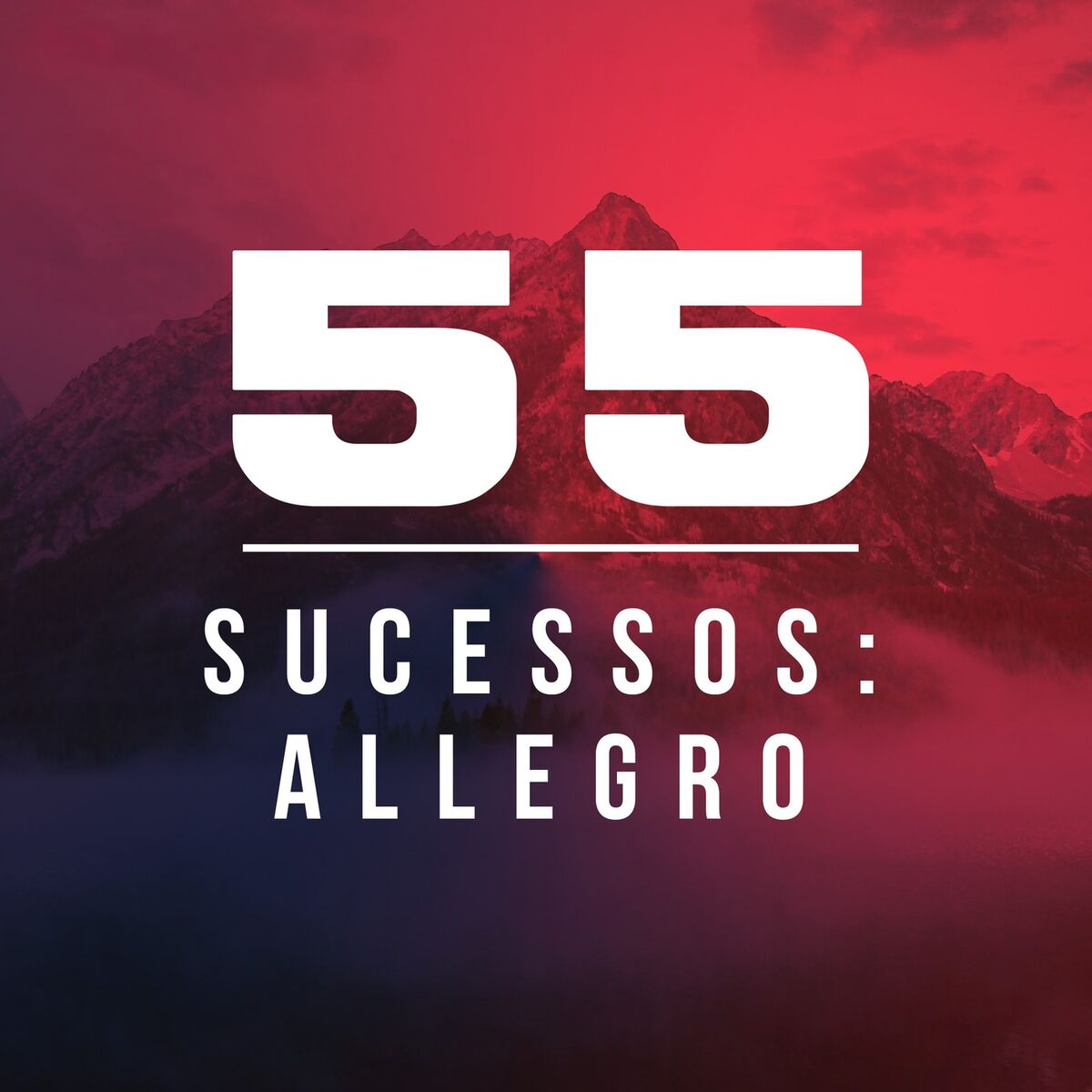 Album cover of 55 Sucessos: Allegro