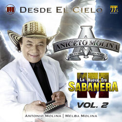 Cover of Desde el Cielo, Vol.2