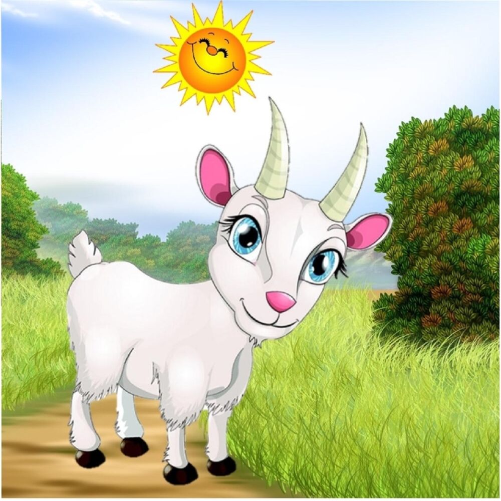 Picture of Sal de Ahi Chivita Chivita