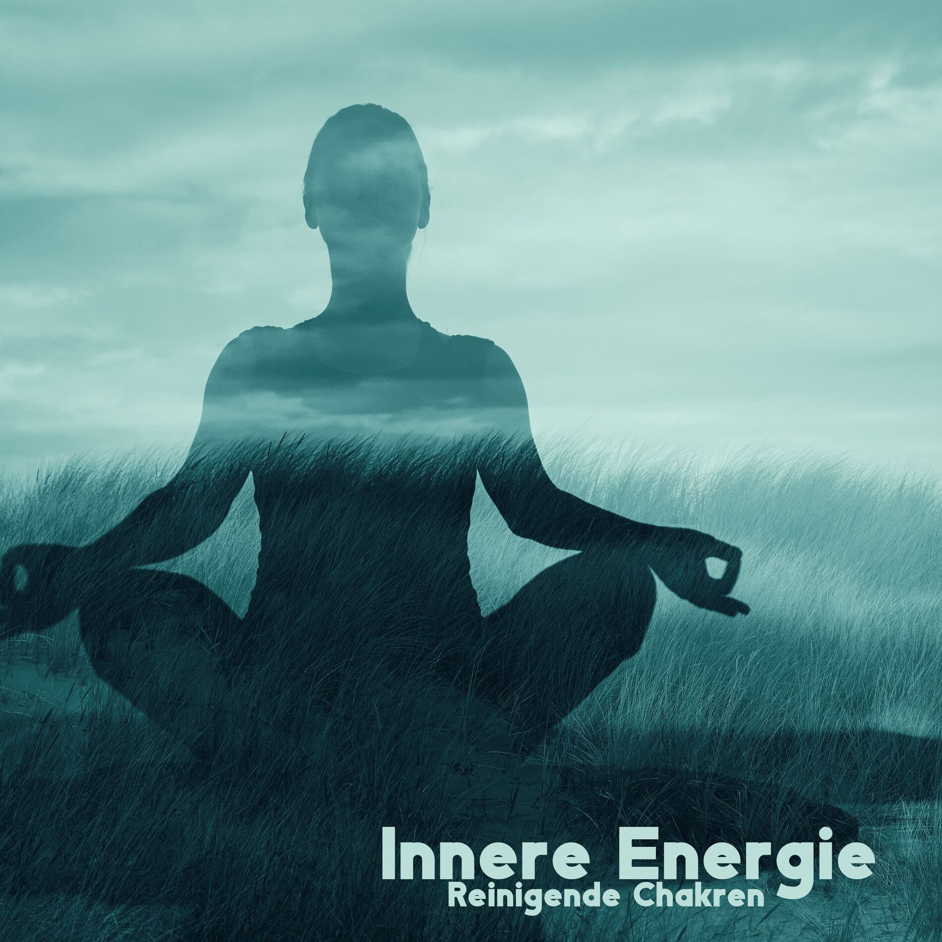 Album cover of Neuer Stand der tibetischen Meditation