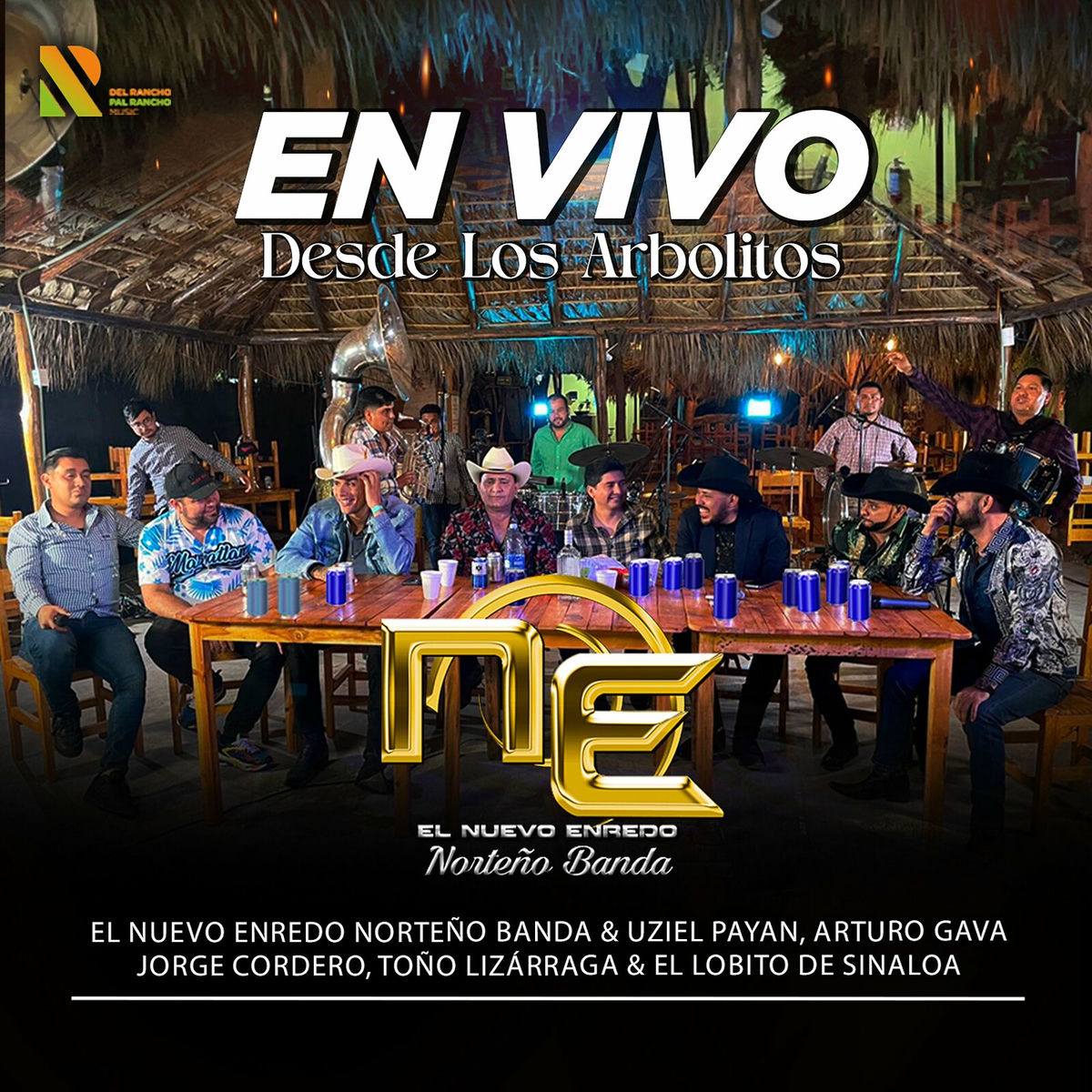 Album cover of Desde Los Arbolitos (En Vivo)