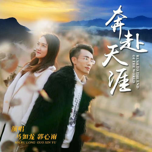 奔赴天涯 (DJ沈念版)