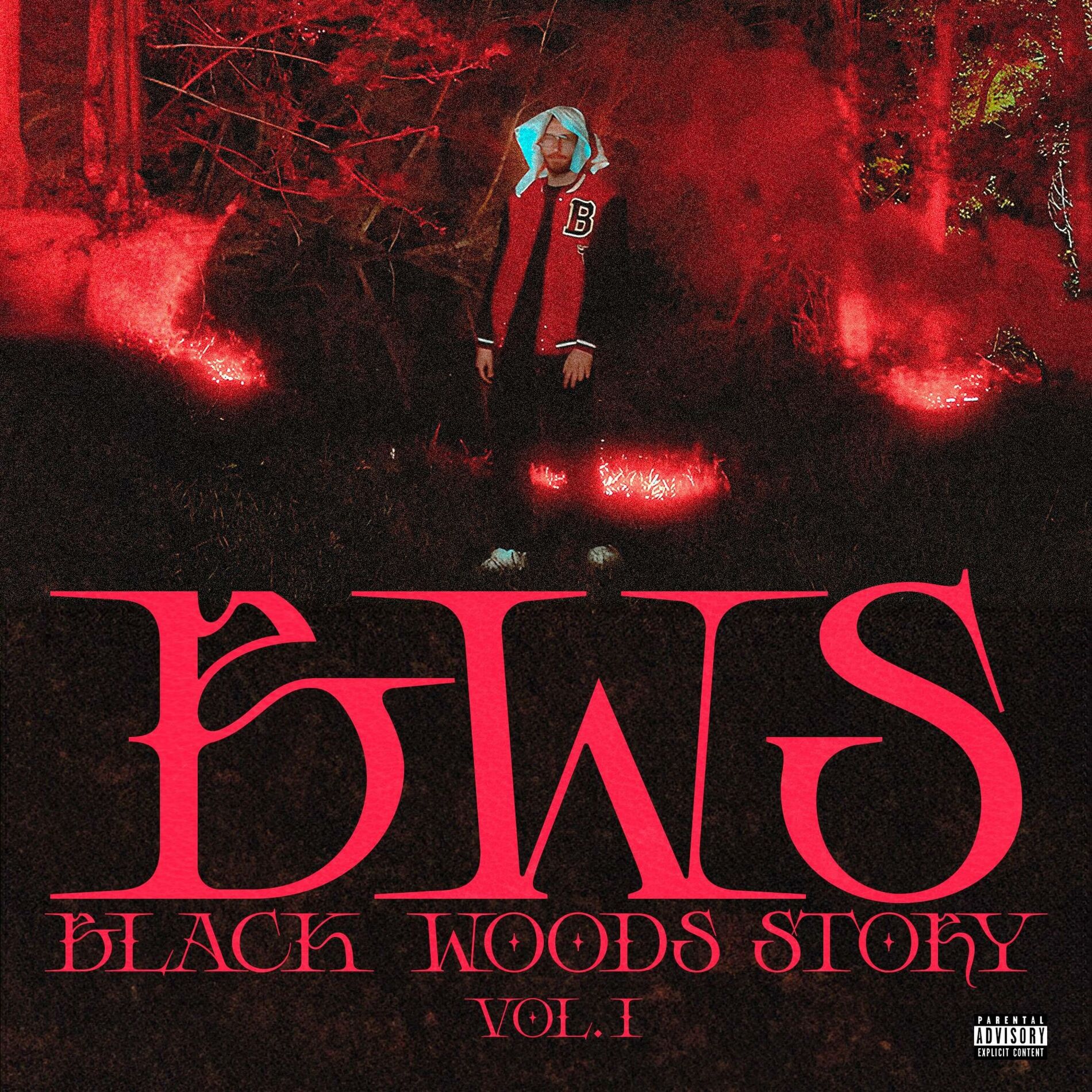 Album cover of BlackWoodsStory vol.1