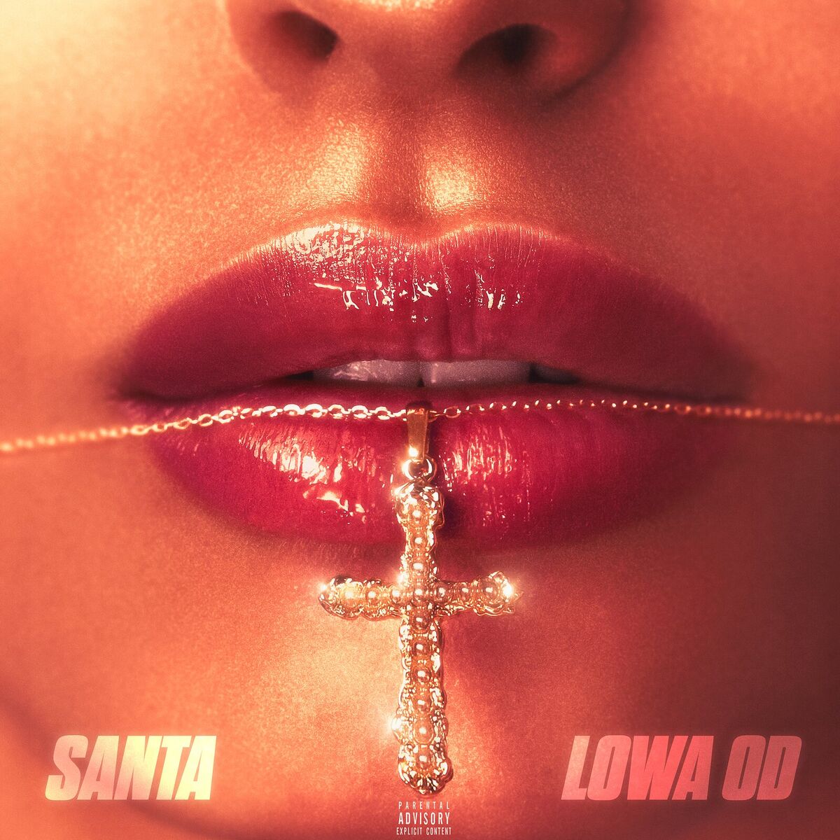 Album cover of Santa