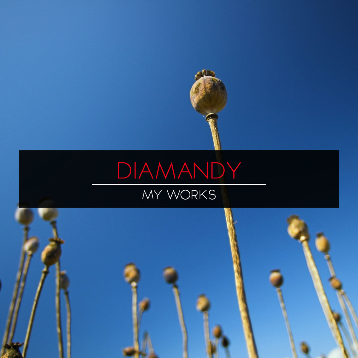Album cover of My Works
