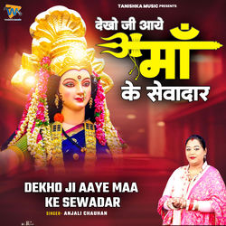 Cover of Dekho Ji Aaye Maa Ke Sewadar by undefined