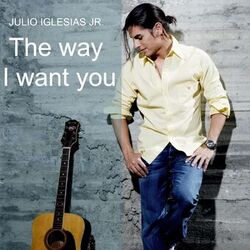 Cover of The Way I Want You