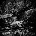 Lost