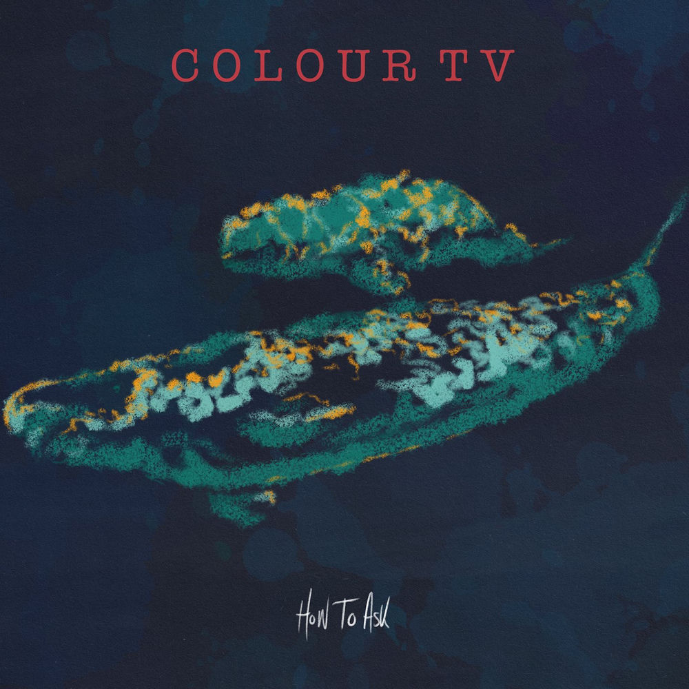 Album artwork for For Belugas by Colour TV