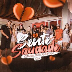 Cover of Sente Saudade