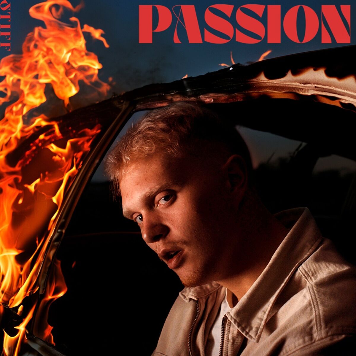 Album cover of Passion