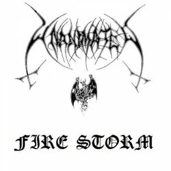 Cover of Fire Storm (Demo)