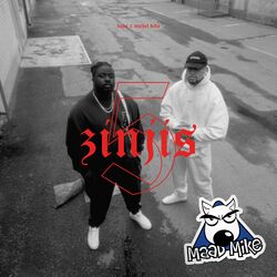 Cover of 5 zinjis (Remix)