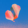 Floating Petal