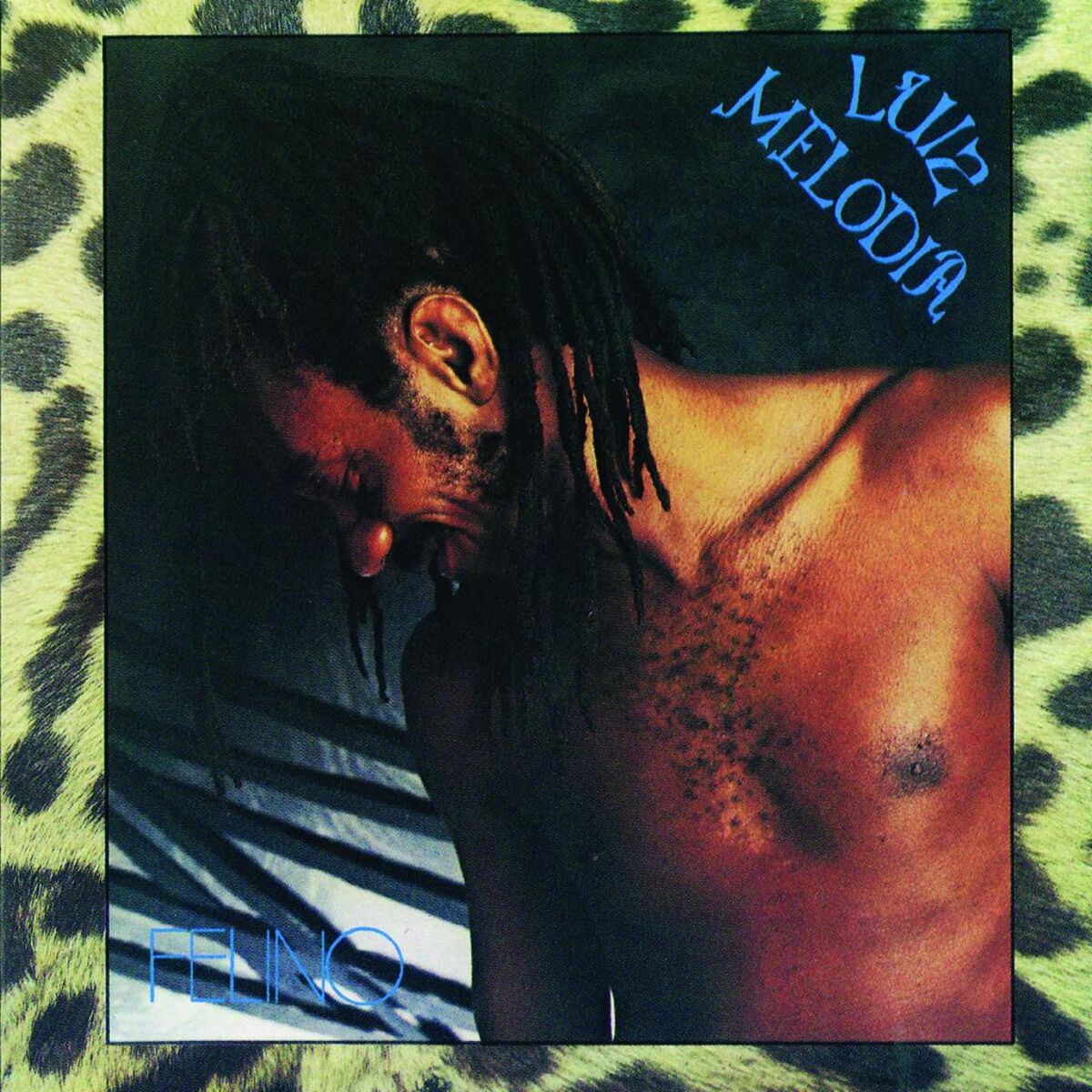 Album cover of Felino