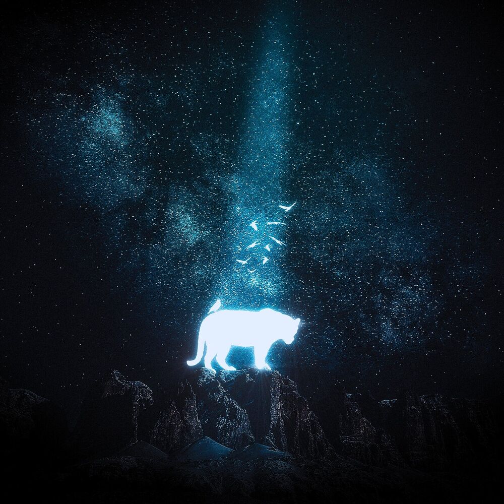 Picture of Wraith