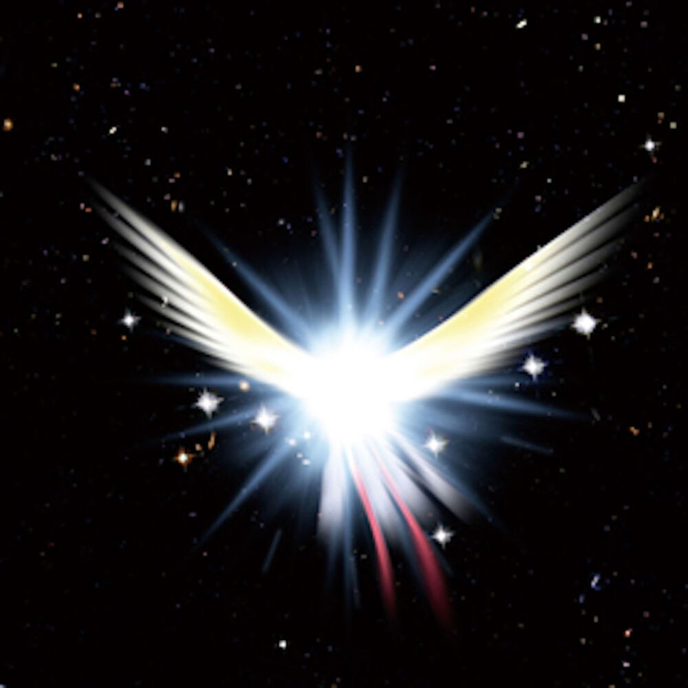 Picture of Space Bird