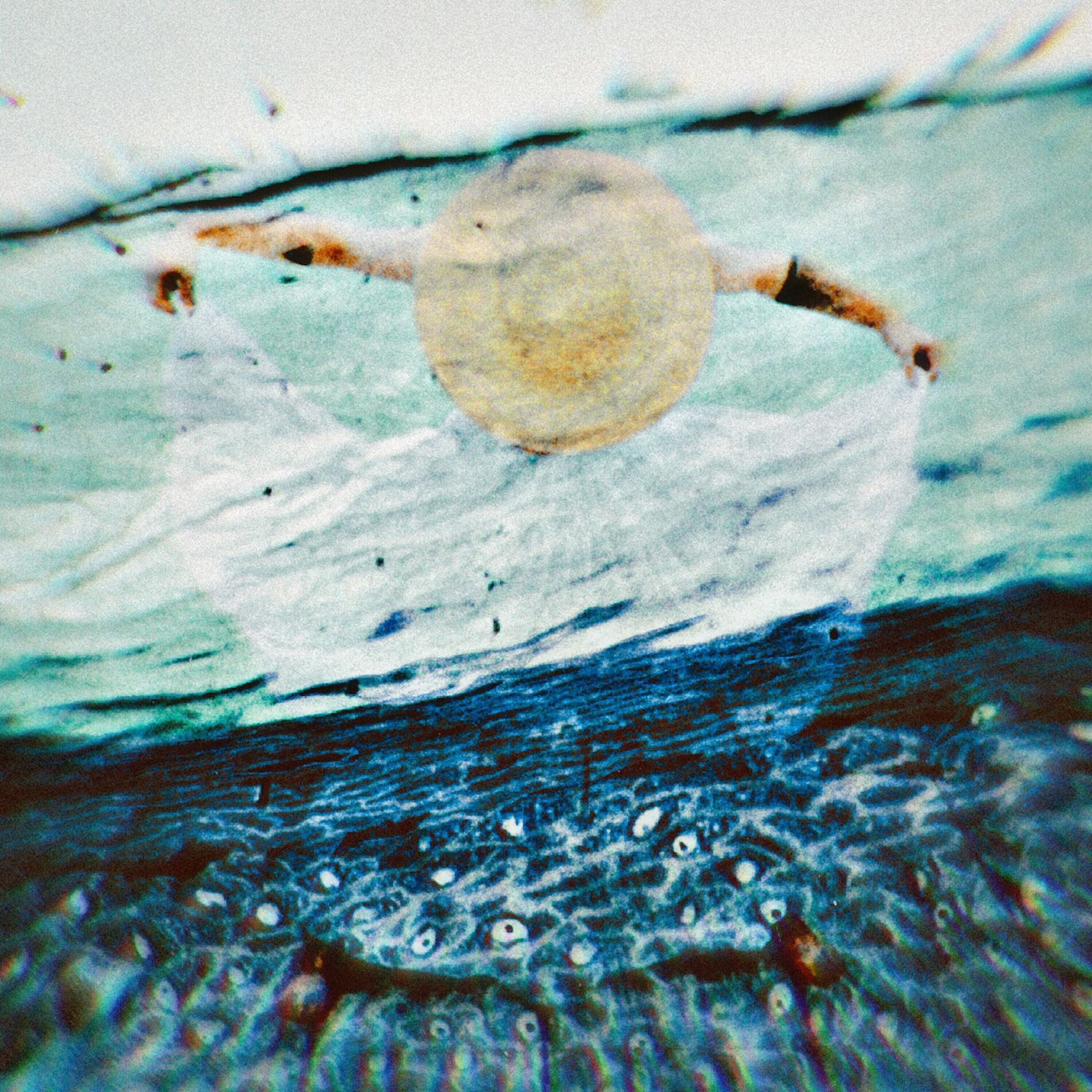 Album cover of pelos pelos pelos