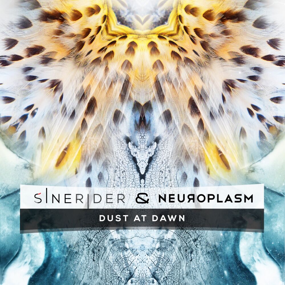 Picture of Dust At Dawn