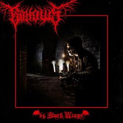 Cover of 66 Black Wings