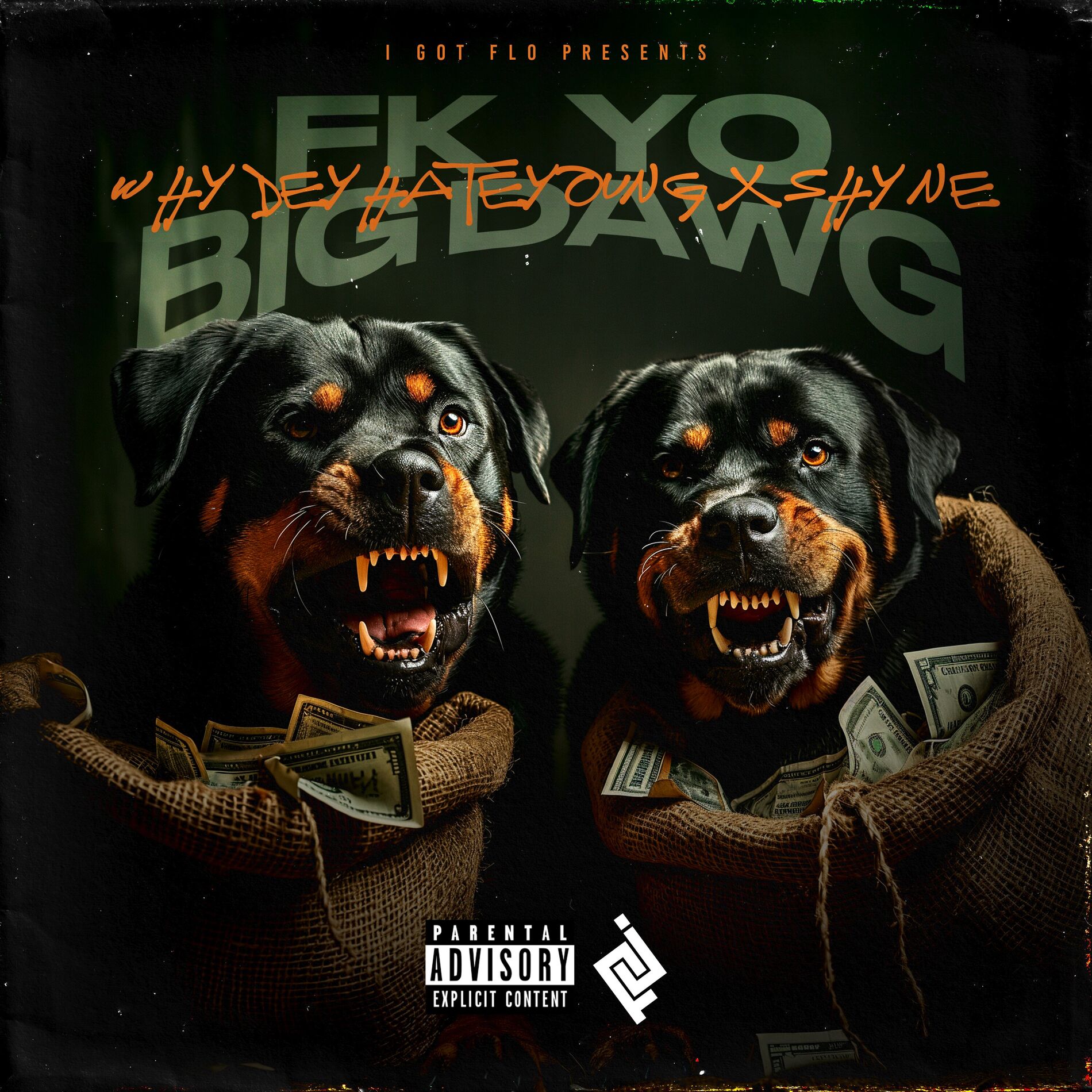 Album cover of FK YO BIG DAWG