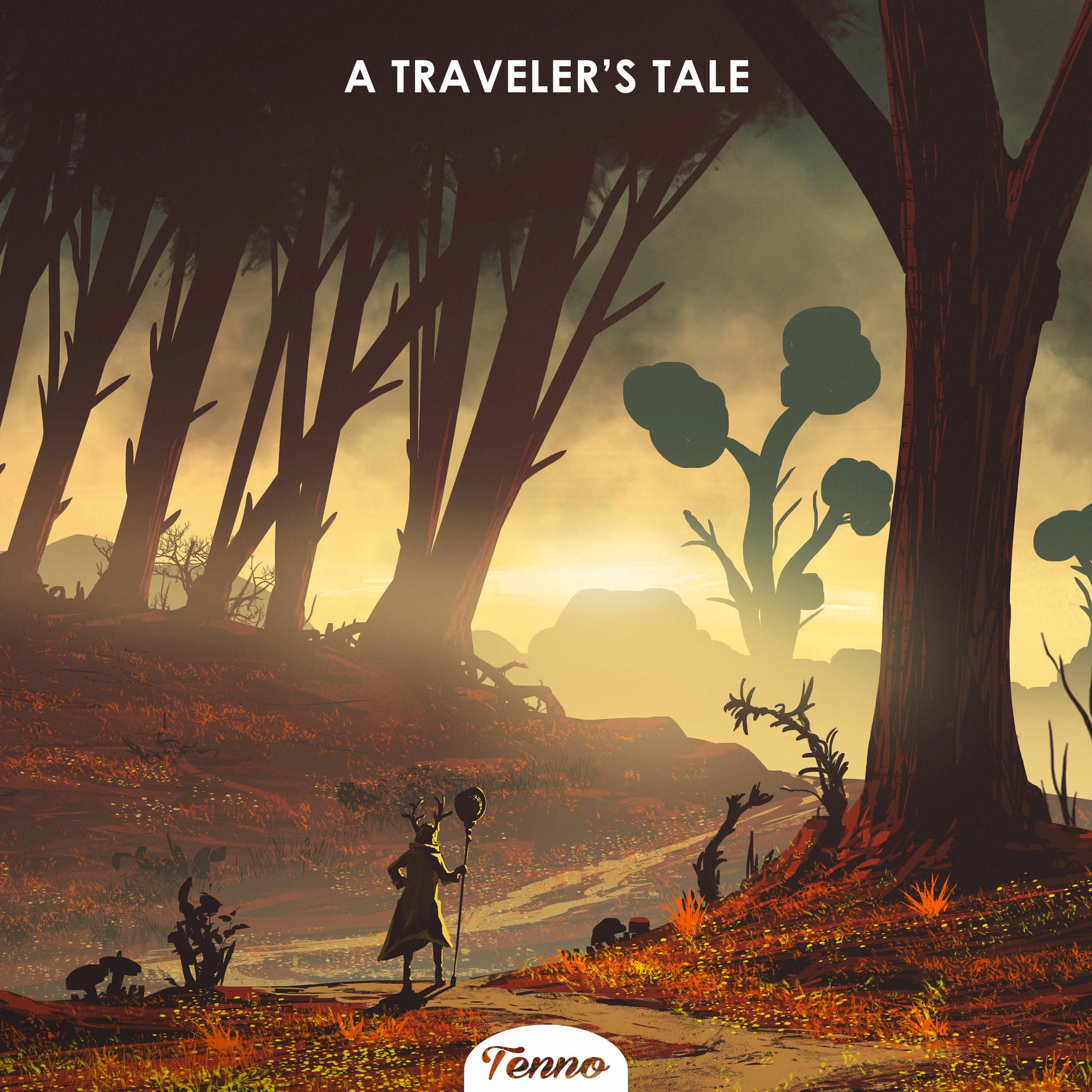 Album cover of A Traveler's Tale