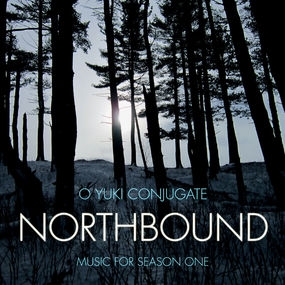Album cover of Northbound - Music for Season One
