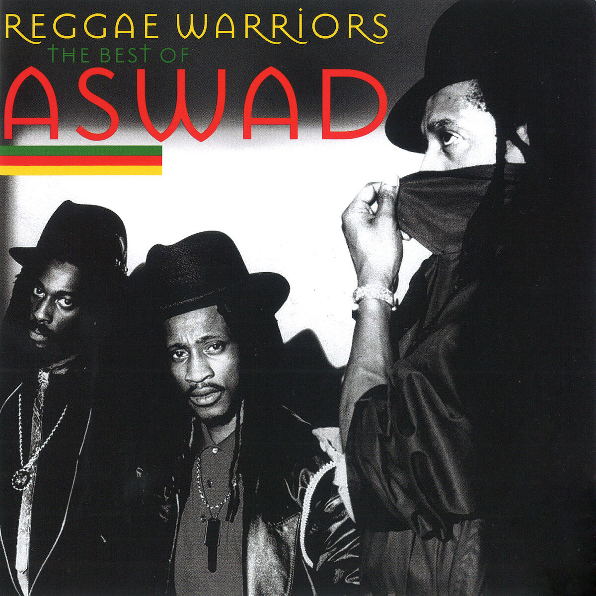 Album cover of Reggae Warriors: The Best of Aswad