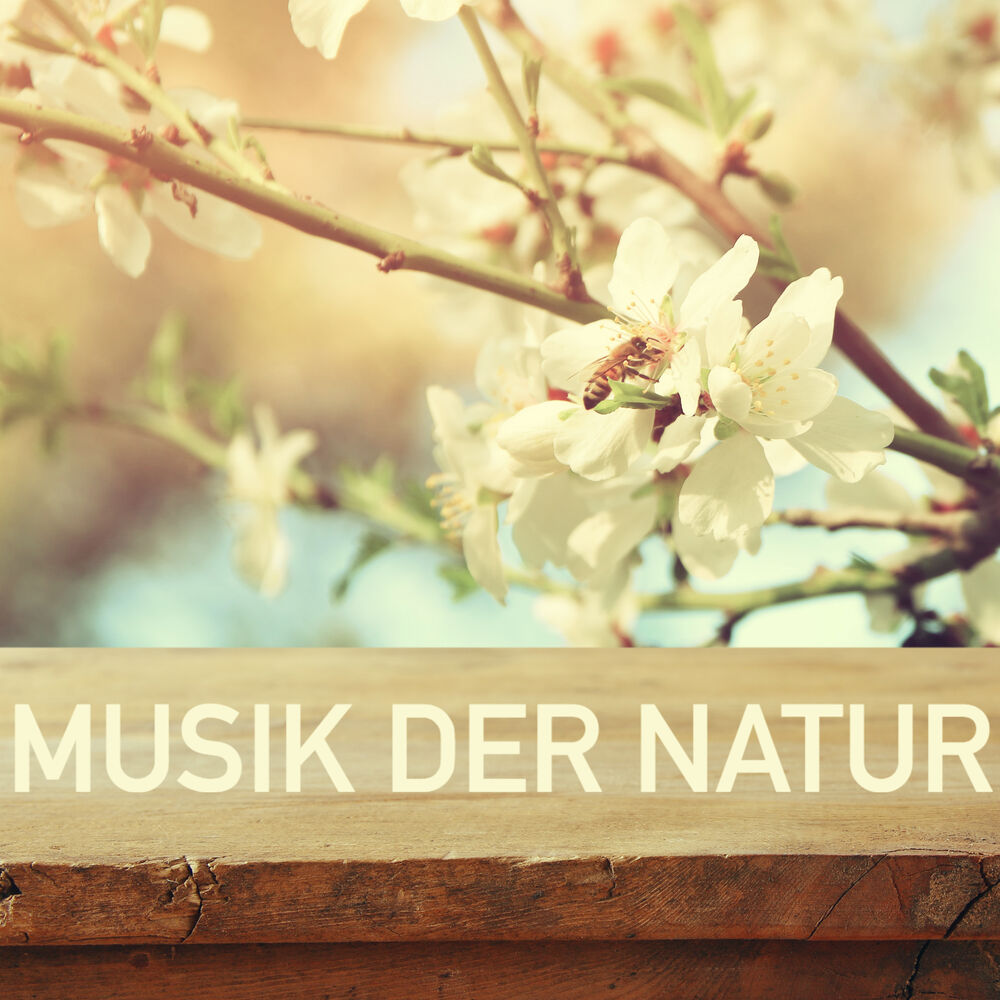 Picture of Musik der Natur zum Entspannen - Schlafen, Konzentrieren und Lernen (Hintergrund Musik)