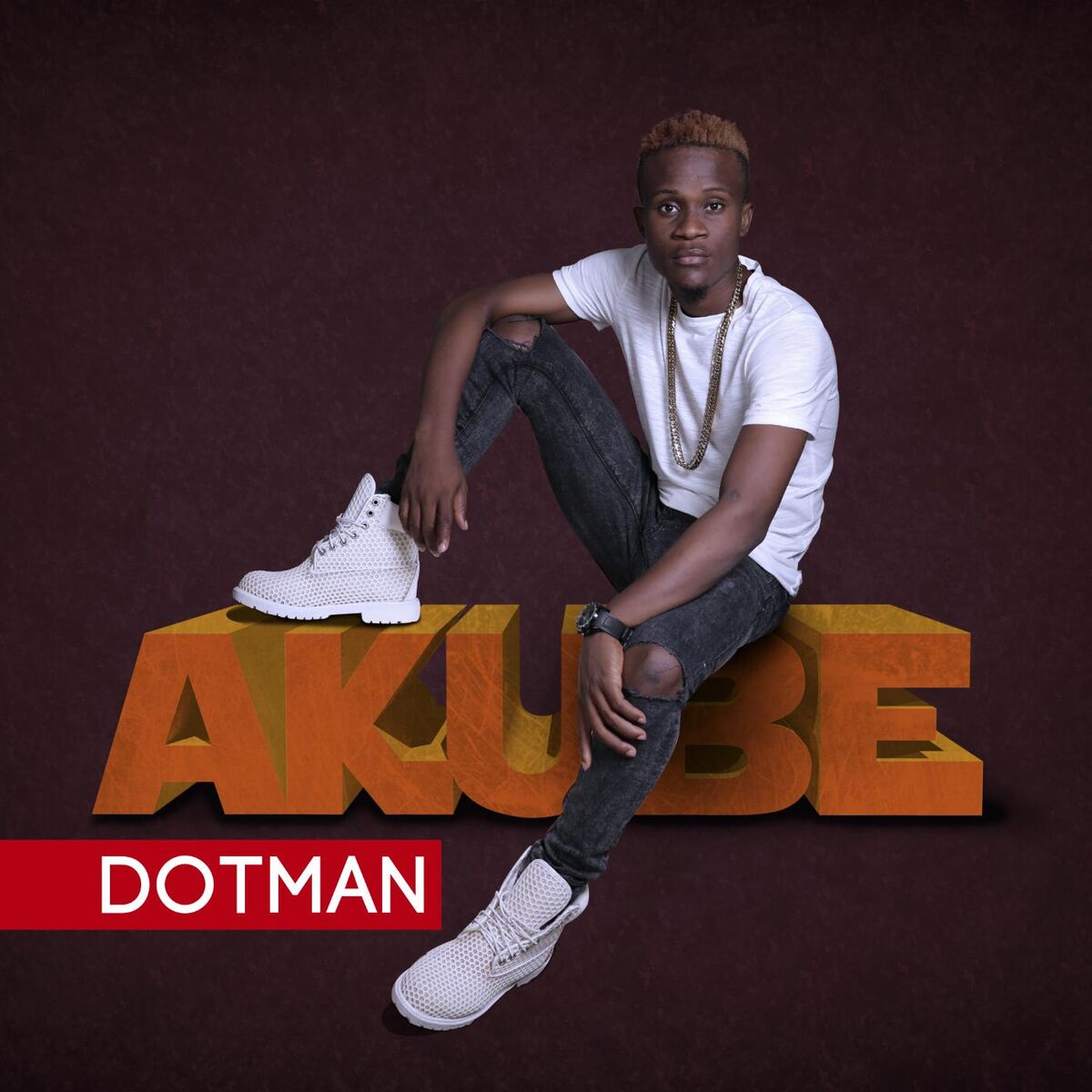Album cover of Akube