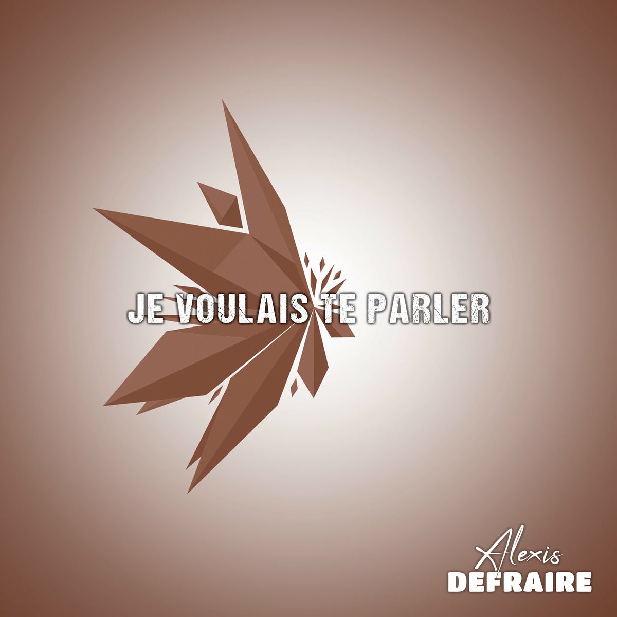 Album cover of Je voulais te parler