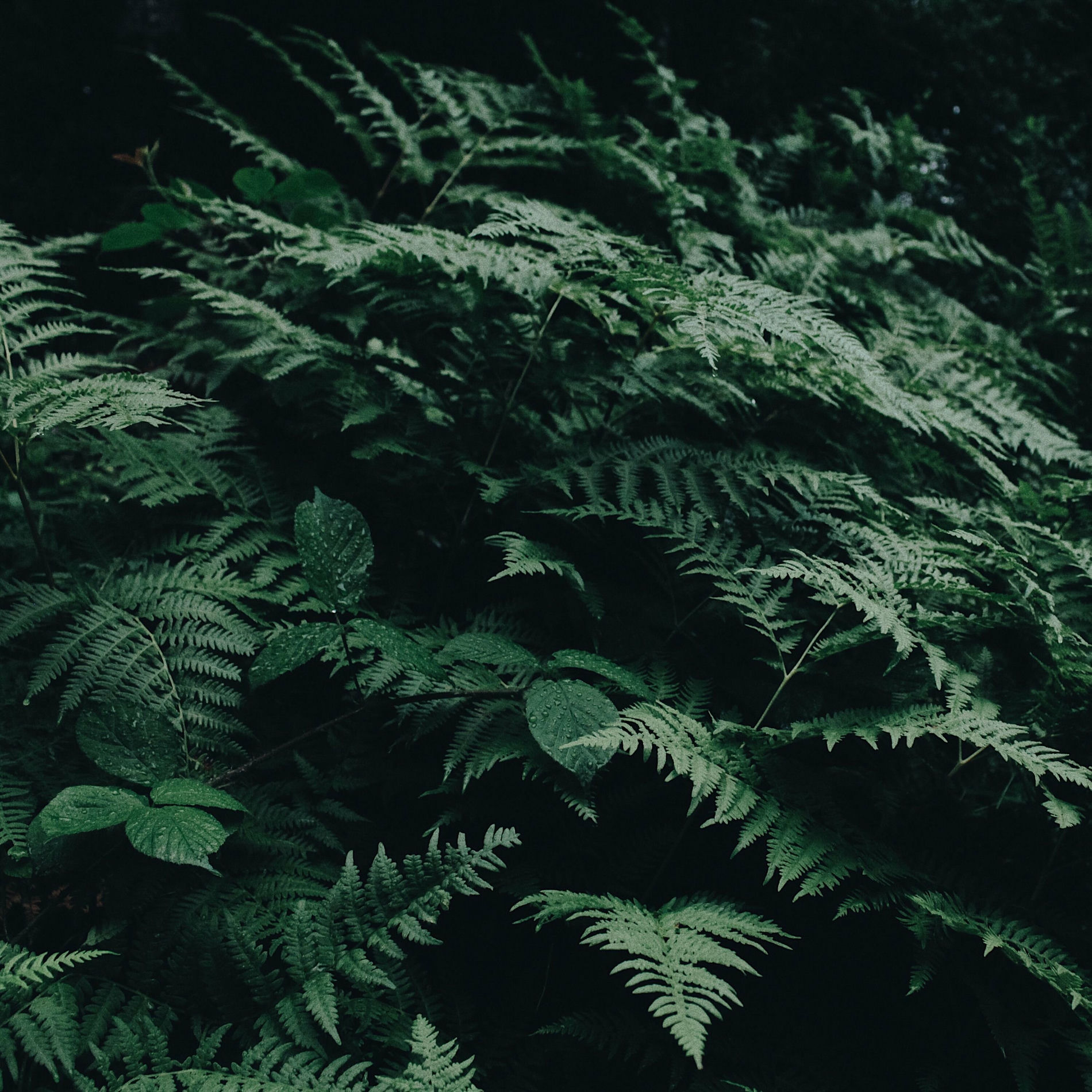 Album cover of Total Relaxation Deep Sleep and Meditation