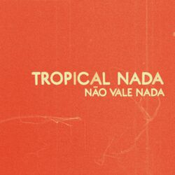 Cover of Não Vale Nada