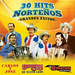 Cover of 30 Hits Norteños "30 Grandes Exitos"